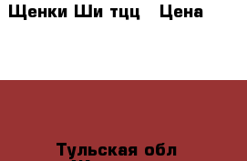 Щенки Ши тцц › Цена ­ 12 000 - Тульская обл. Животные и растения » Собаки   